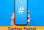 twitter pestel analysis 2024
