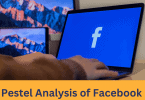 Facebook PESTEL Analysis 2024, PESTLE analysis of Facebook (Meta)