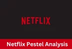 Netflix Pestel analysis of 2024, full guide and explanation