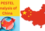 PESTEL analysis of China in 2025, the Chinese market study